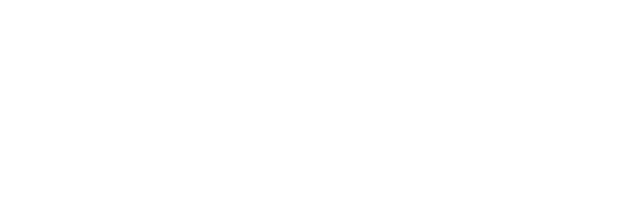 2 swiss-wealth-limited-logo White